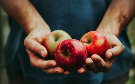 Apples for Allergy Relief: The Magical Fruit for Pollen Season